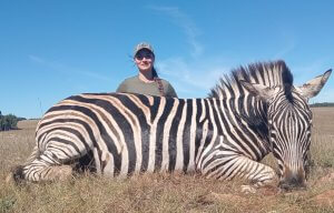 zebra burchells