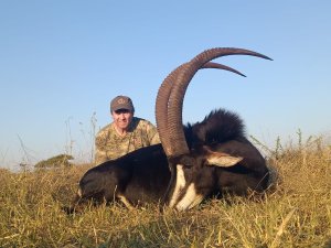 sable