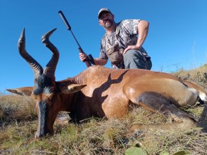 hartbeest red